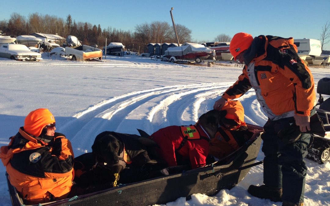 Volunteers from the Canadian Search and Disaster Dogs Association