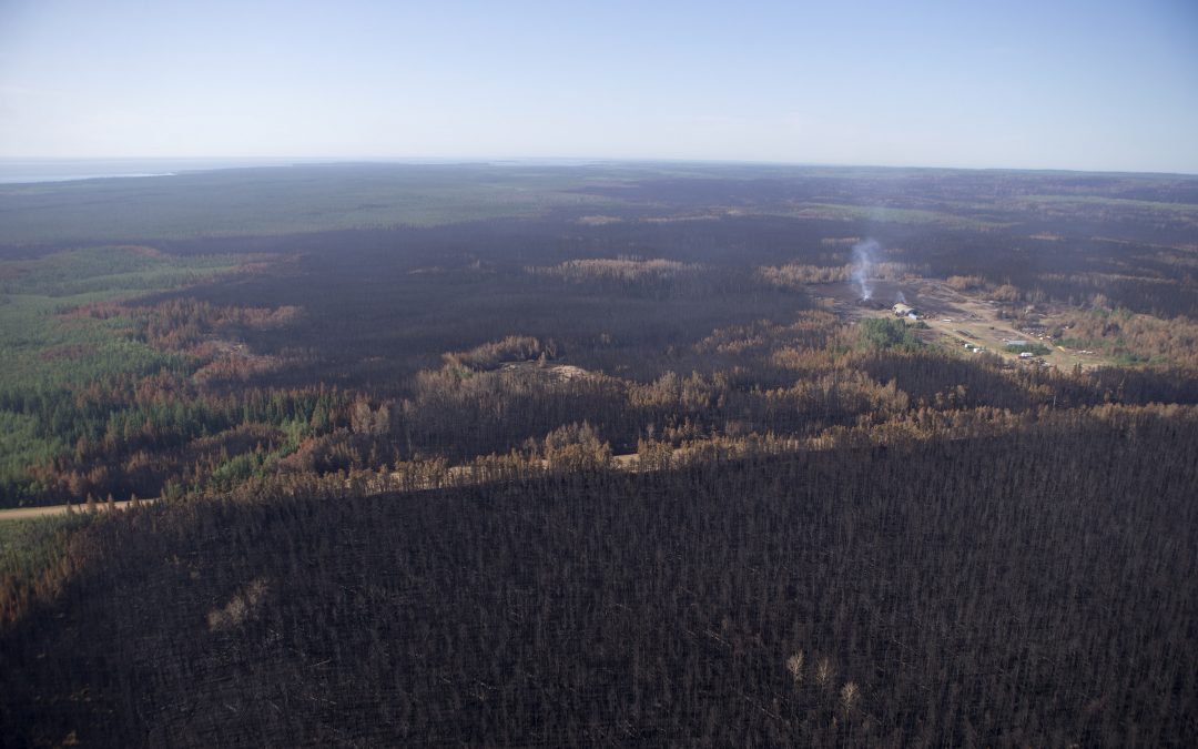 New North praises changes to wildfire suppression policy in Sask.