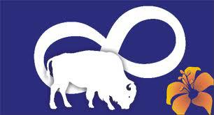 Metis Nation – Saskatchewan may be forced to sell its archives and library