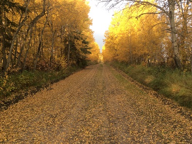 Bio-blitz looks to conserve natural habitat outside Prince Albert