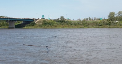 River water levels rise 1.5 metres in 12 hours in Prince Albert