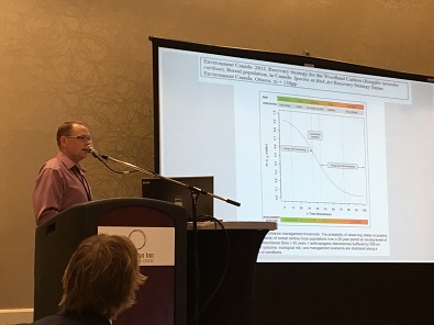 U of S research shows good news for Saskatchewan’s woodland caribou population