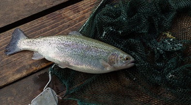 Northern Wild Fishery store open for business