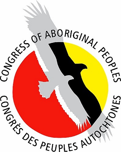 Aboriginal group fights to have its voice heard