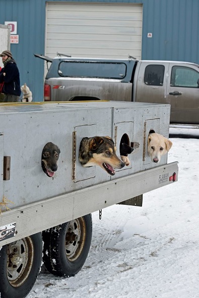 Canadian Challenge Sled Dog Race start location changed