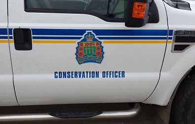 Canoe Lake man found guilty of illegally selling fish