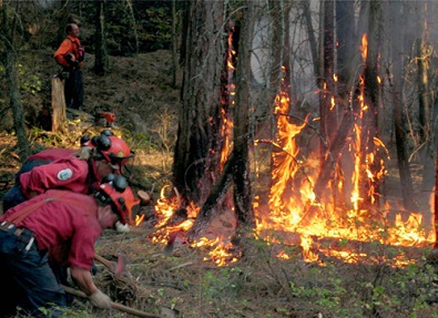 Saskatchewan firefighters back from tour of duty in BC