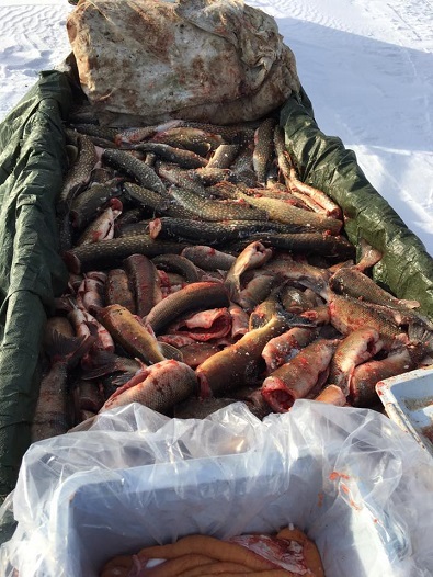 Viability of Freshwater Fish Marketing on the minds of northwest fishers