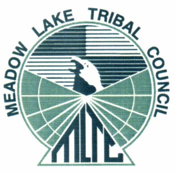 Meadow Lake Tribal Council elects new vice chief