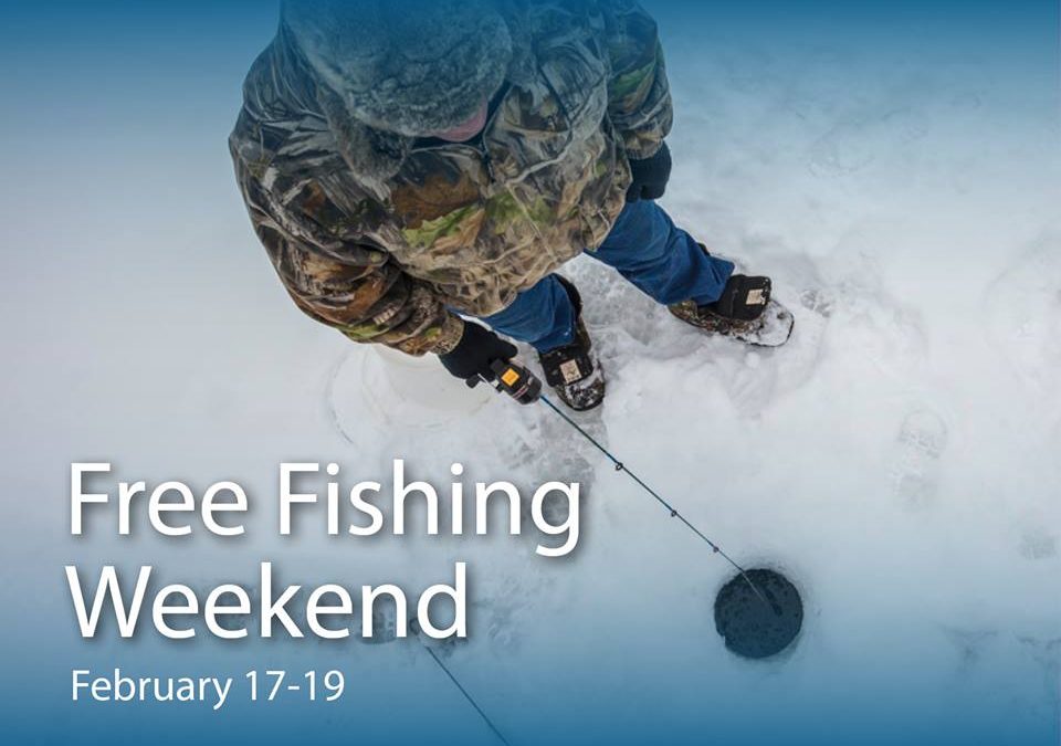 Saskatchewan lakes welcome all anglers on free fishing weekend