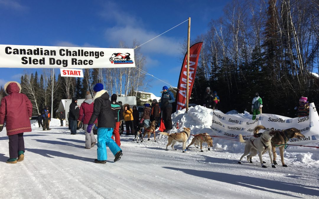 Canadian Challenge Sled Dog Race begins in Elk Ridge