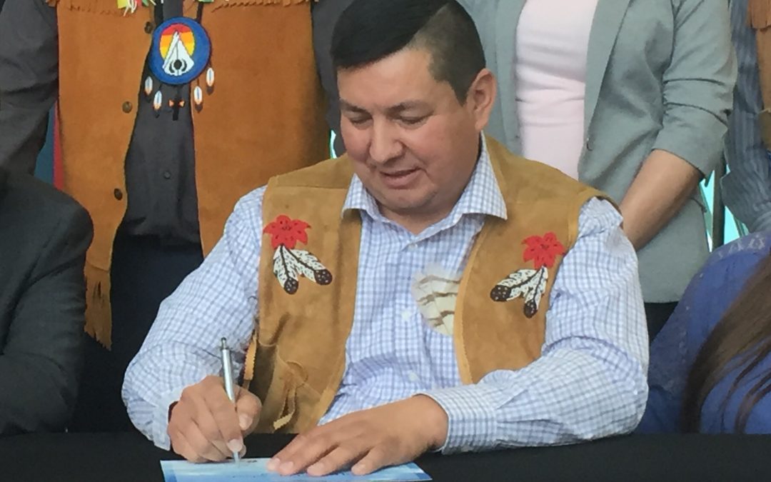 First Nations Power Authority backs away from biomass project in Regina