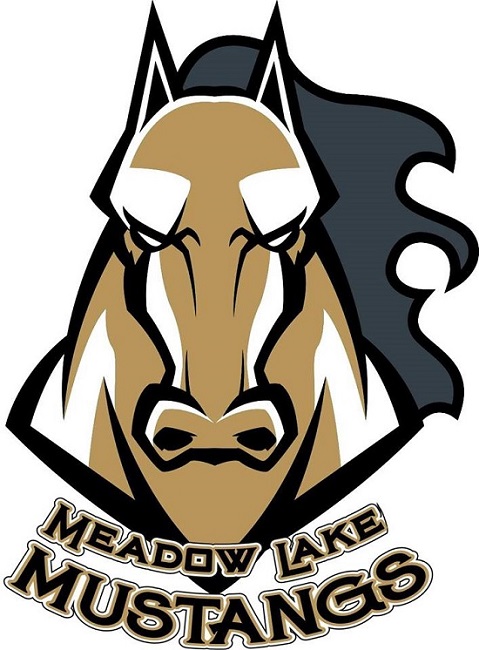 Meadow Lake Mustangs cease operations