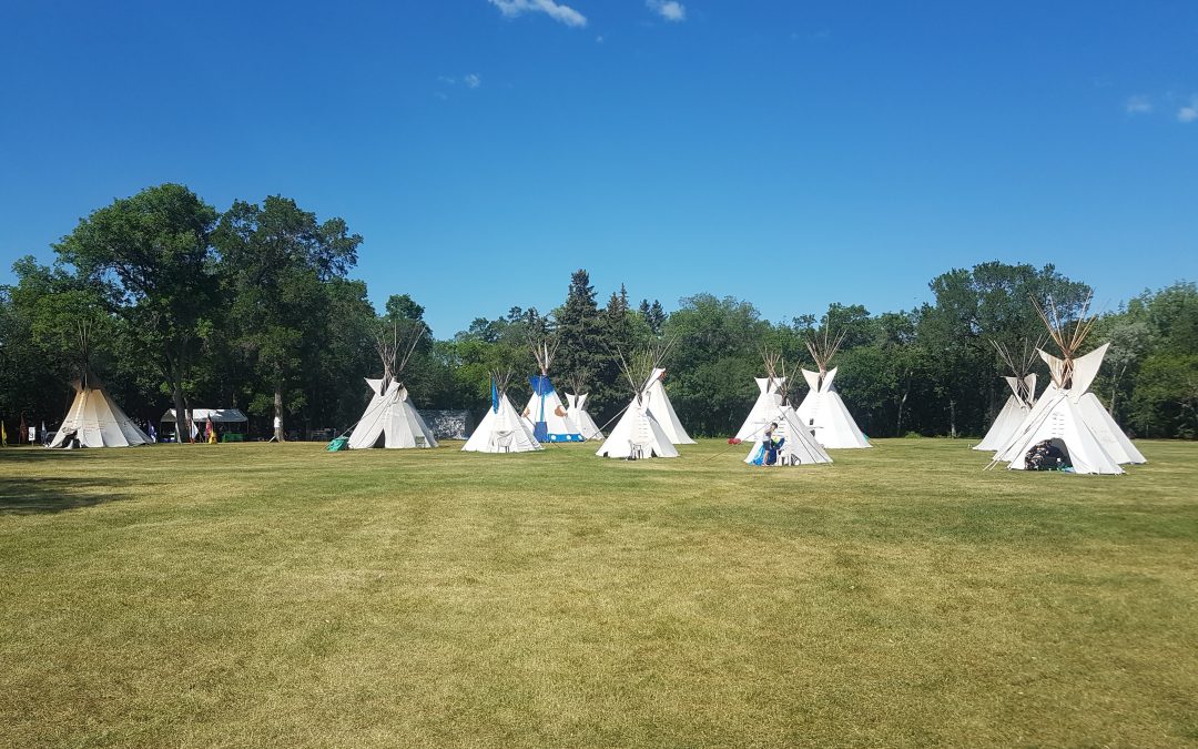 Protesters say the camp at Wascana Park is not going anywhere