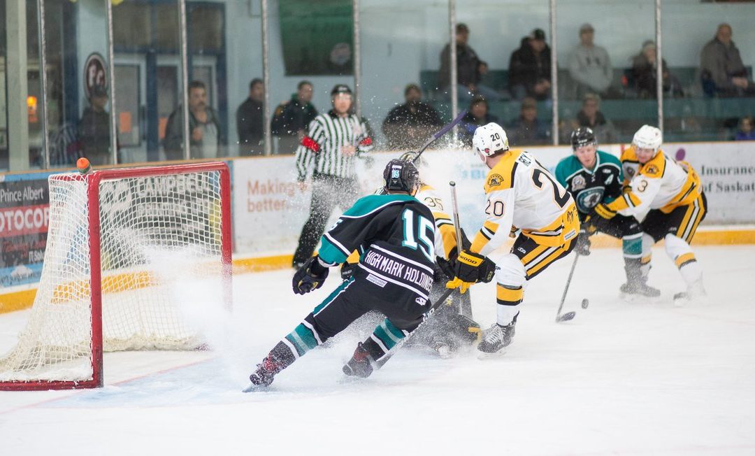 Ice Wolves take spring camp to Saskatoon