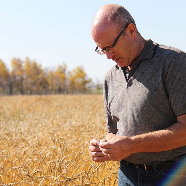 Sask. information and privacy commissioner calls on province to investigate northern municipality