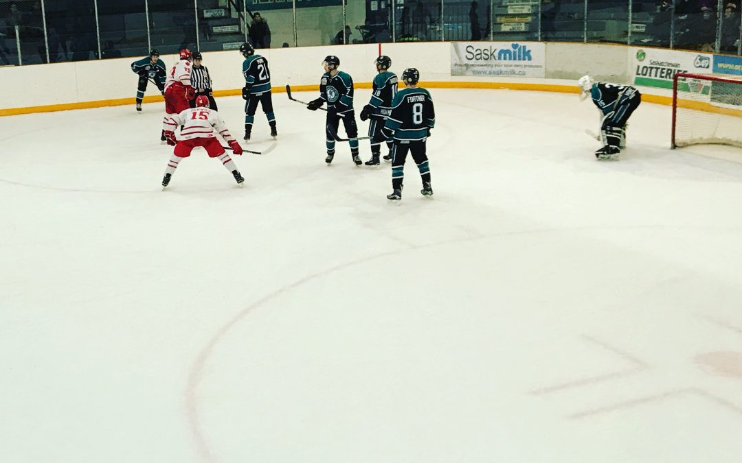 Hounds skate past Ice Wolves 