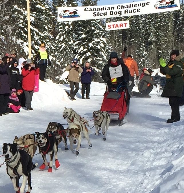 Sled dog challenge gets underway