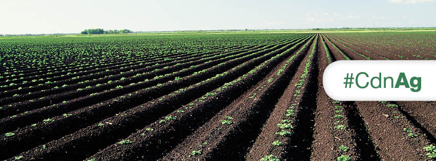 Federal program encourages Indigenous youth to get into agriculture sector