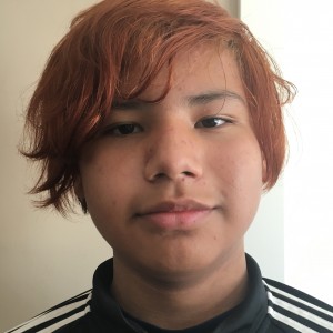 Regina police ask for help finding missing 13-year-old male