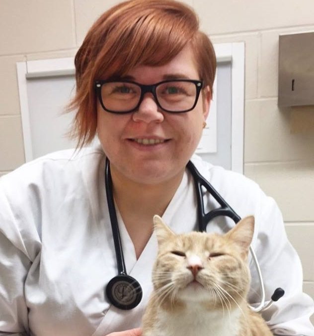 U of S vet clinic coming to La Ronge in September