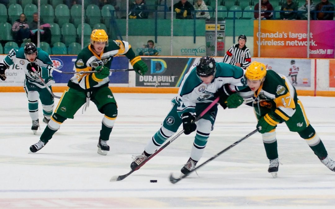 Ice Wolves nearly sweep weekly SJHL awards