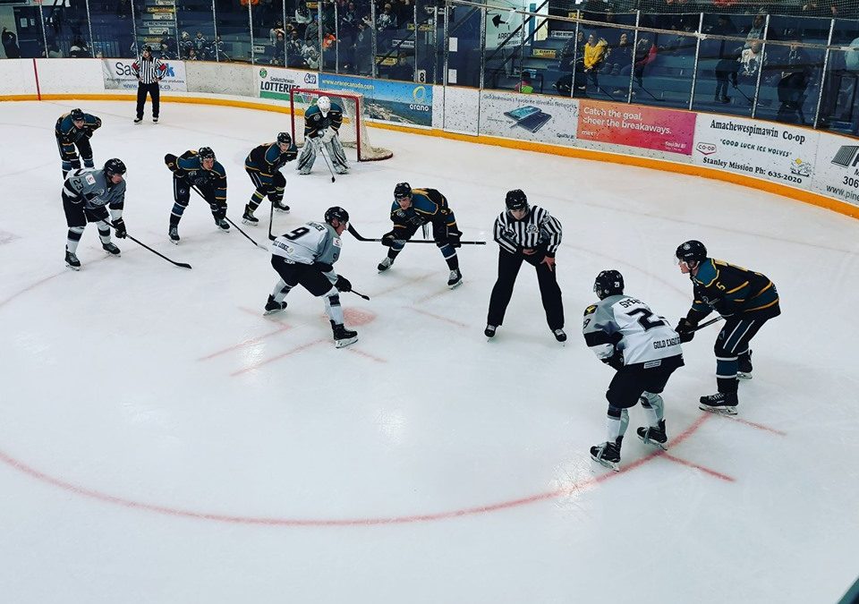Ice Wolves earn point versus North Stars 