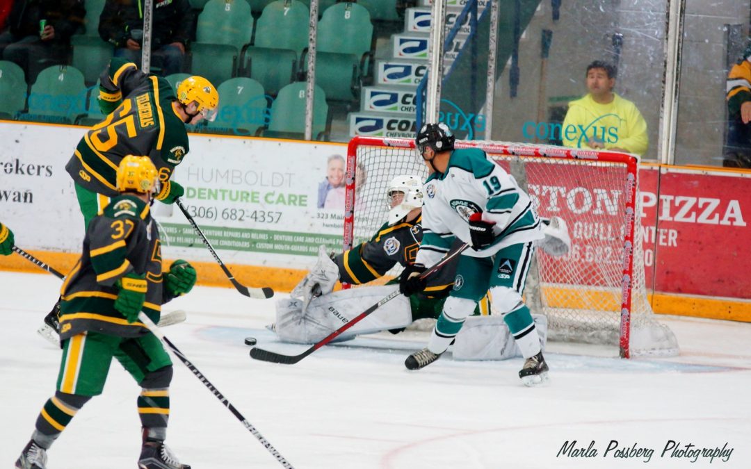 Greyeyes named SJHL Rookie of Week again