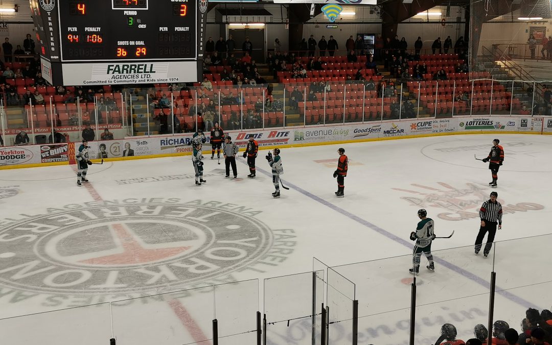 Ice Wolves and Terriers split first two