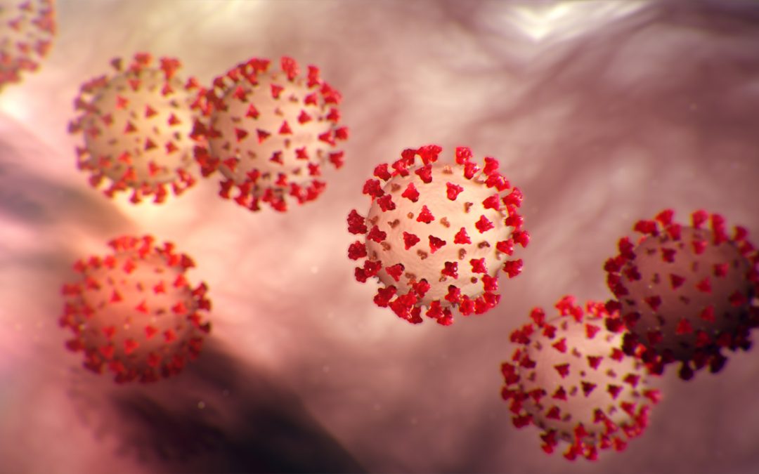 Eight new coronavirus cases Tuesday