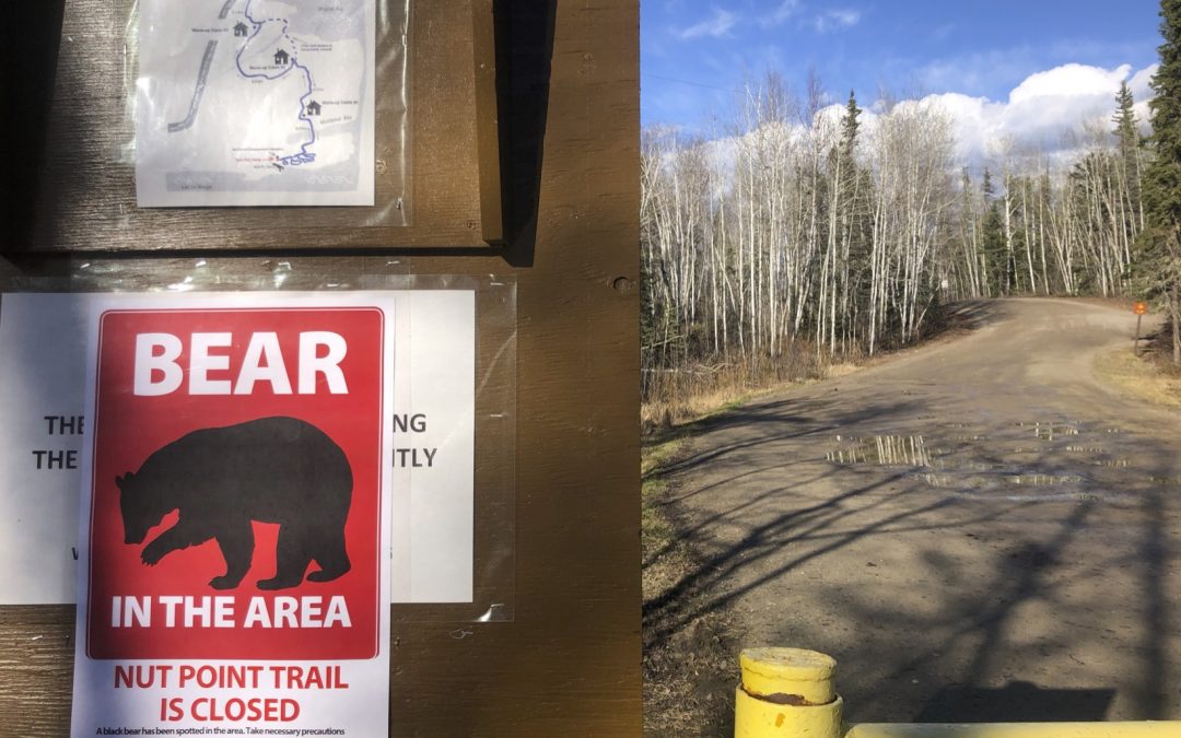 Nut Point Trail closed after bear sighting