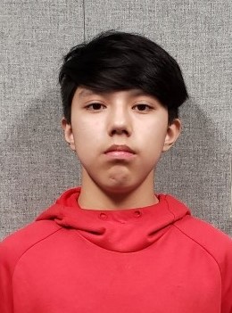 Wilkie RCMP search for missing youth