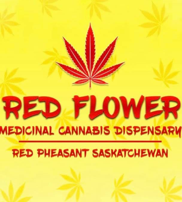Red Pheasant Cree Nation opens cannabis dispensary, eyes expansion