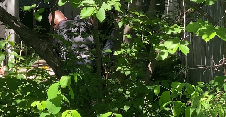Independent investigation to begin into Saskatoon rough arrest