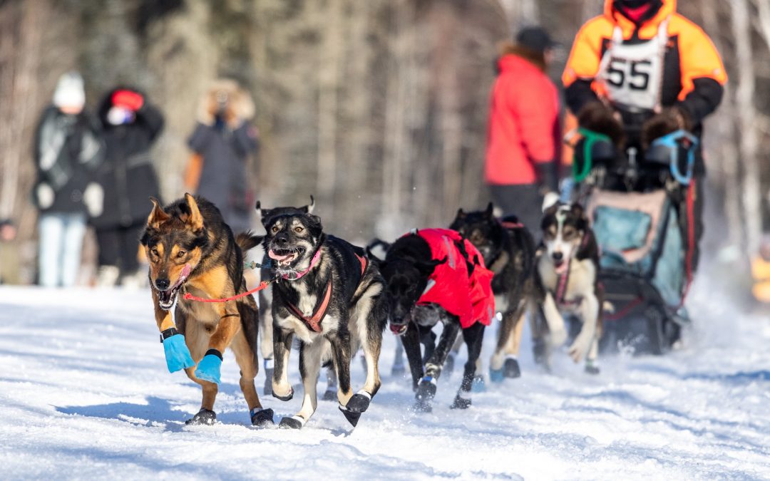 Canadian Challenge makes changes