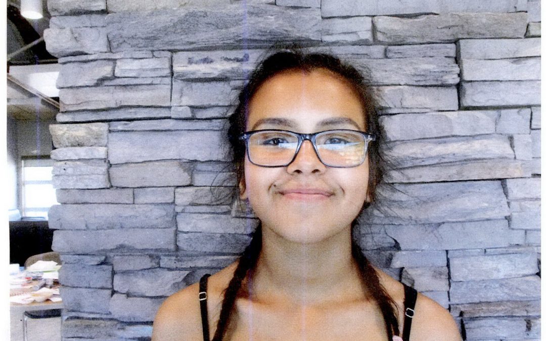 Police search for missing Prince Albert teens