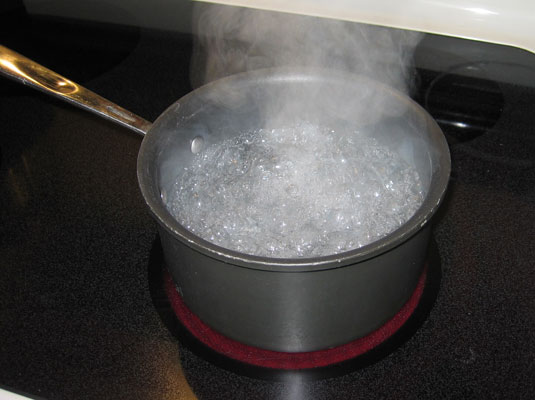 Vidal: Ottawa has lost trust over on-reserve boil water advisory promise