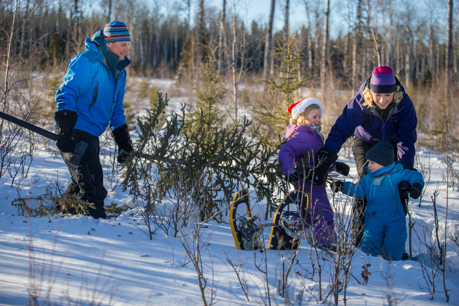 P.A. National Park encouraging people to come get Christmas trees