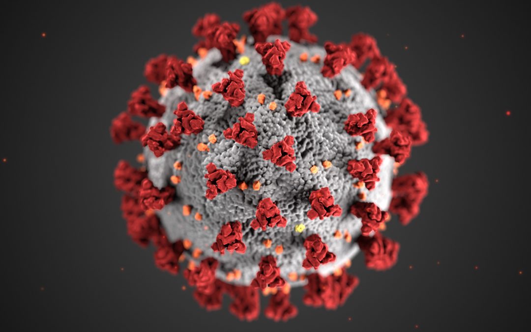 383 active COVID-19 cases reported by NITHA Friday