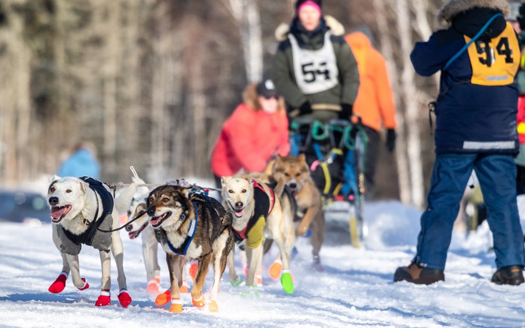 Canadian Challenge cancelled