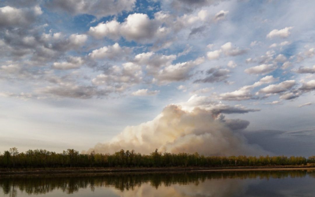 City of P.A. releases cause of Cloverdale wildfire