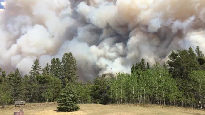 Investigation finds lightning strike caused Cloverdale wildfire