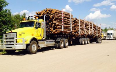 First Nations members concerned about logging damaging historical areas