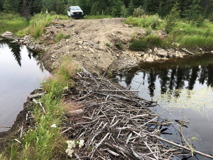 Conservation Officers investigate damage to creek; asking for public’s help