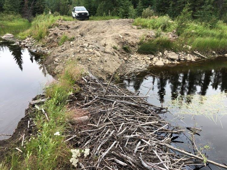 Conservation Officers investigate damage to creek; asking for public’s help