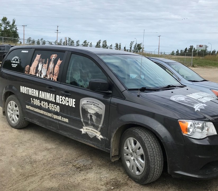 Northern Animal Rescue working to keep La Ronge pets and strays safe
