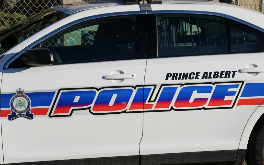 Two Prince Albert police officers suspended amid PCC investigation