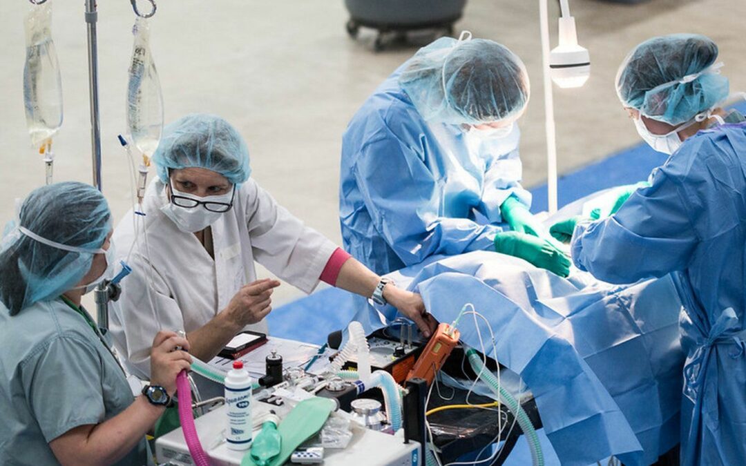 Veterinarians, volunteers see hundreds of animals at La Ronge clinic