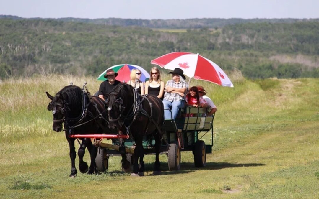 Back to Batoche returns for 50th celebration after two-year hiatus