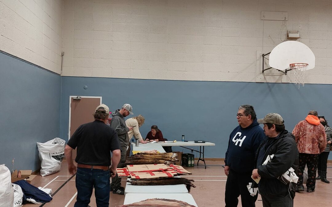 First fur table of 2023 goes at Parkland Hall in Prince Albert